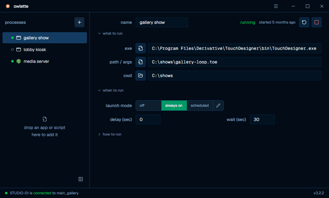 the owlette desktop app — the process list on the left, the selected process's settings on the right